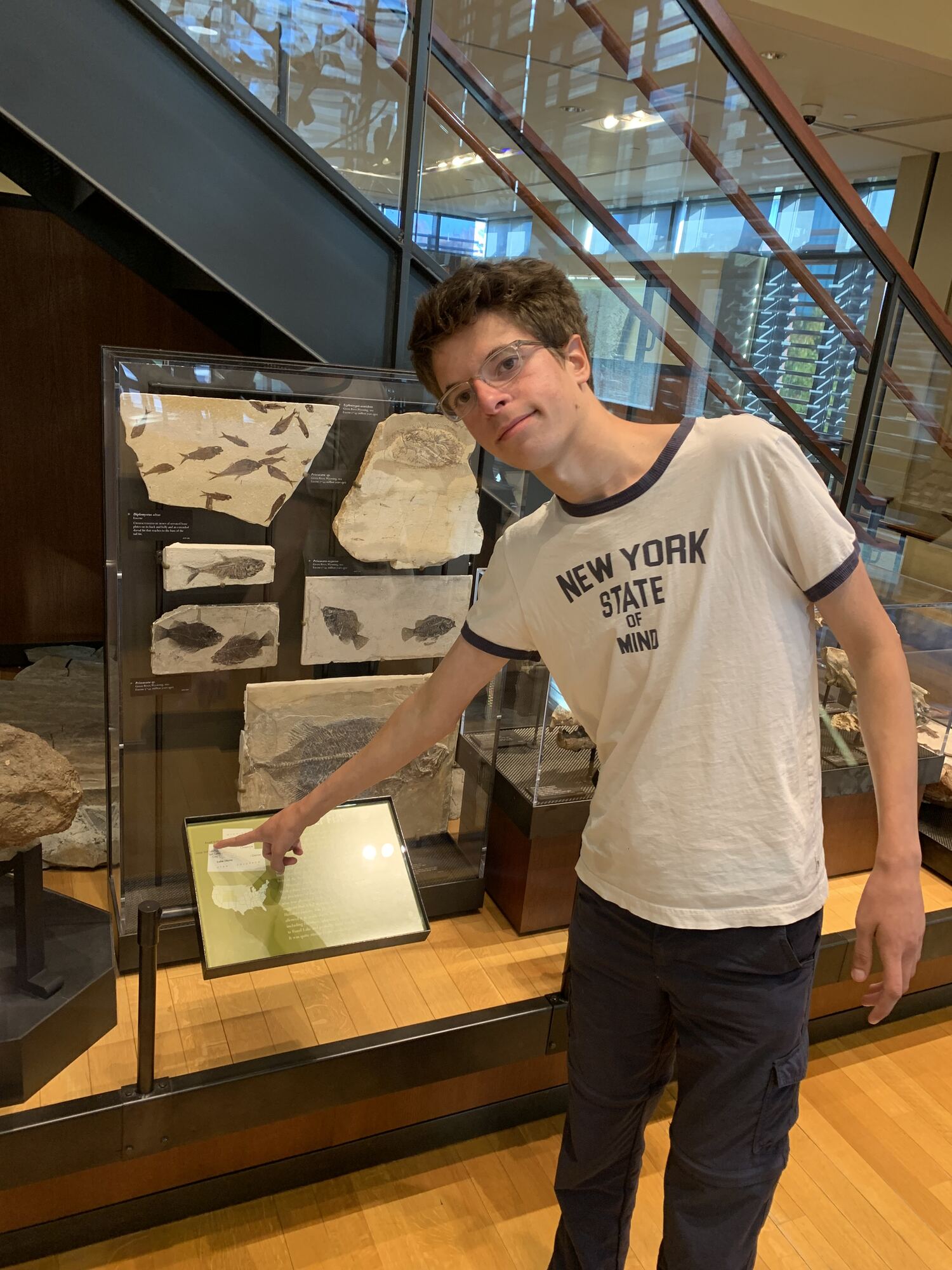 Amherst Museum Exhibit: Horse Fossil, photo 1
