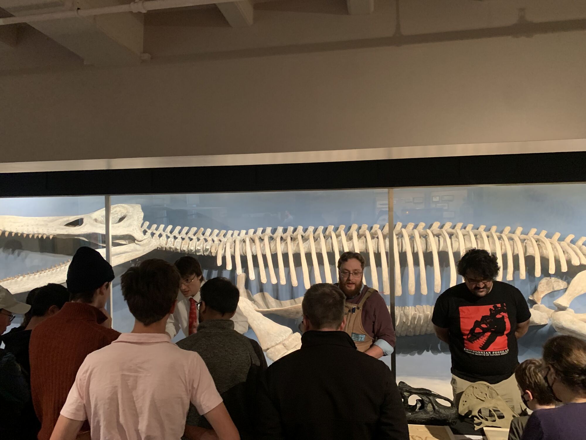 MCZ Fossil Day, October 2024, photo 2