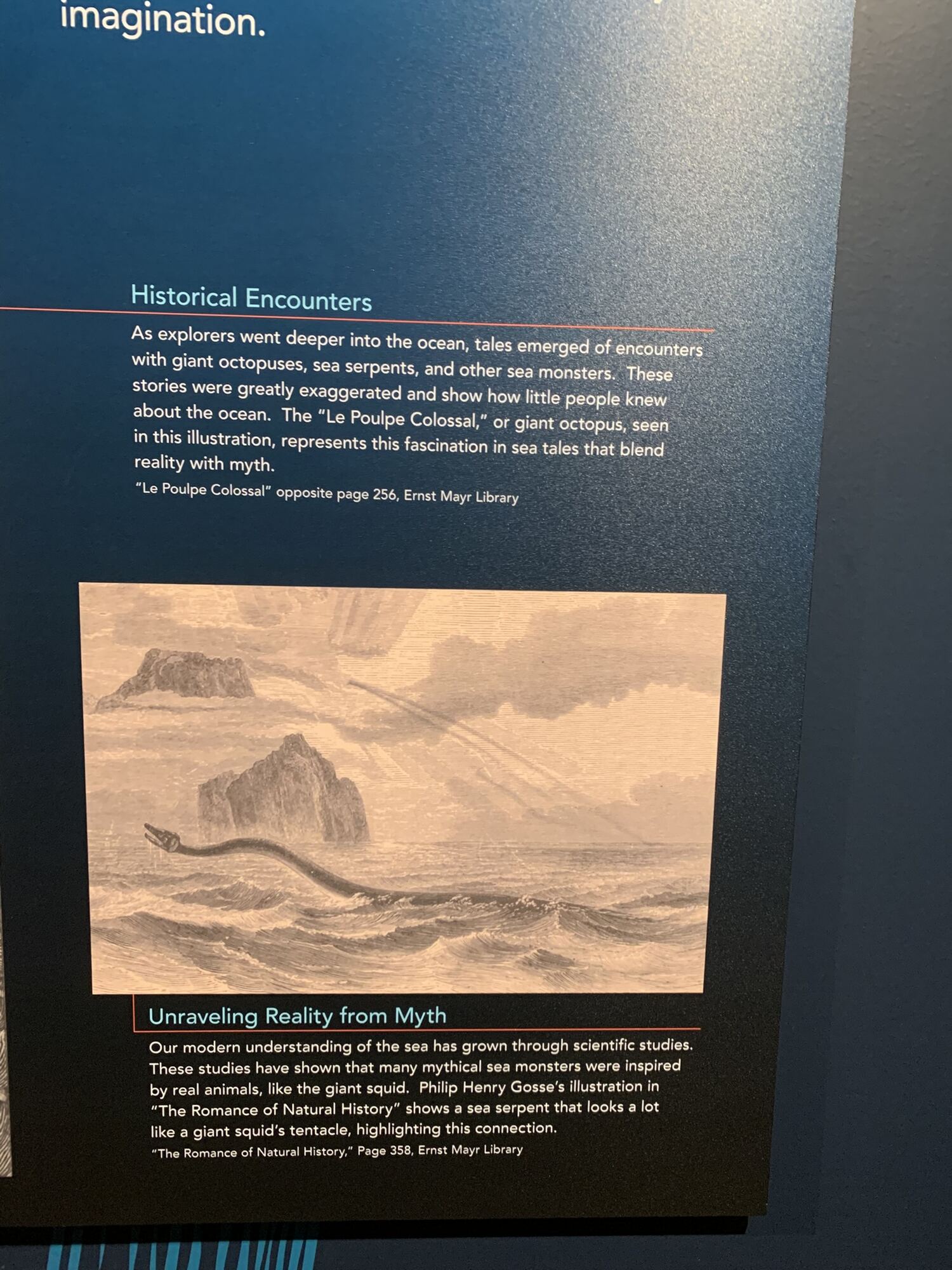 MCZ Sea Monsters Exhibit, 2024, photo 1