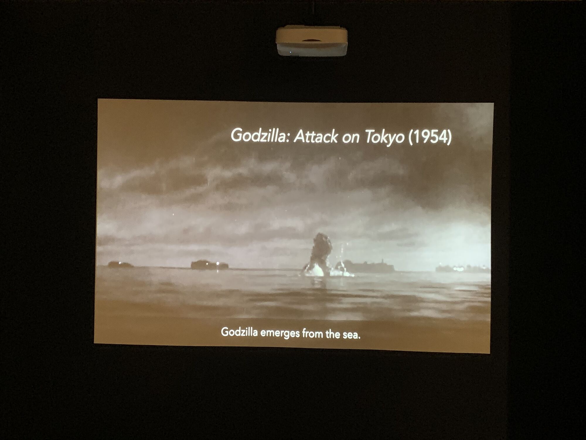 MCZ Sea Monsters Exhibit, 2024, photo 5