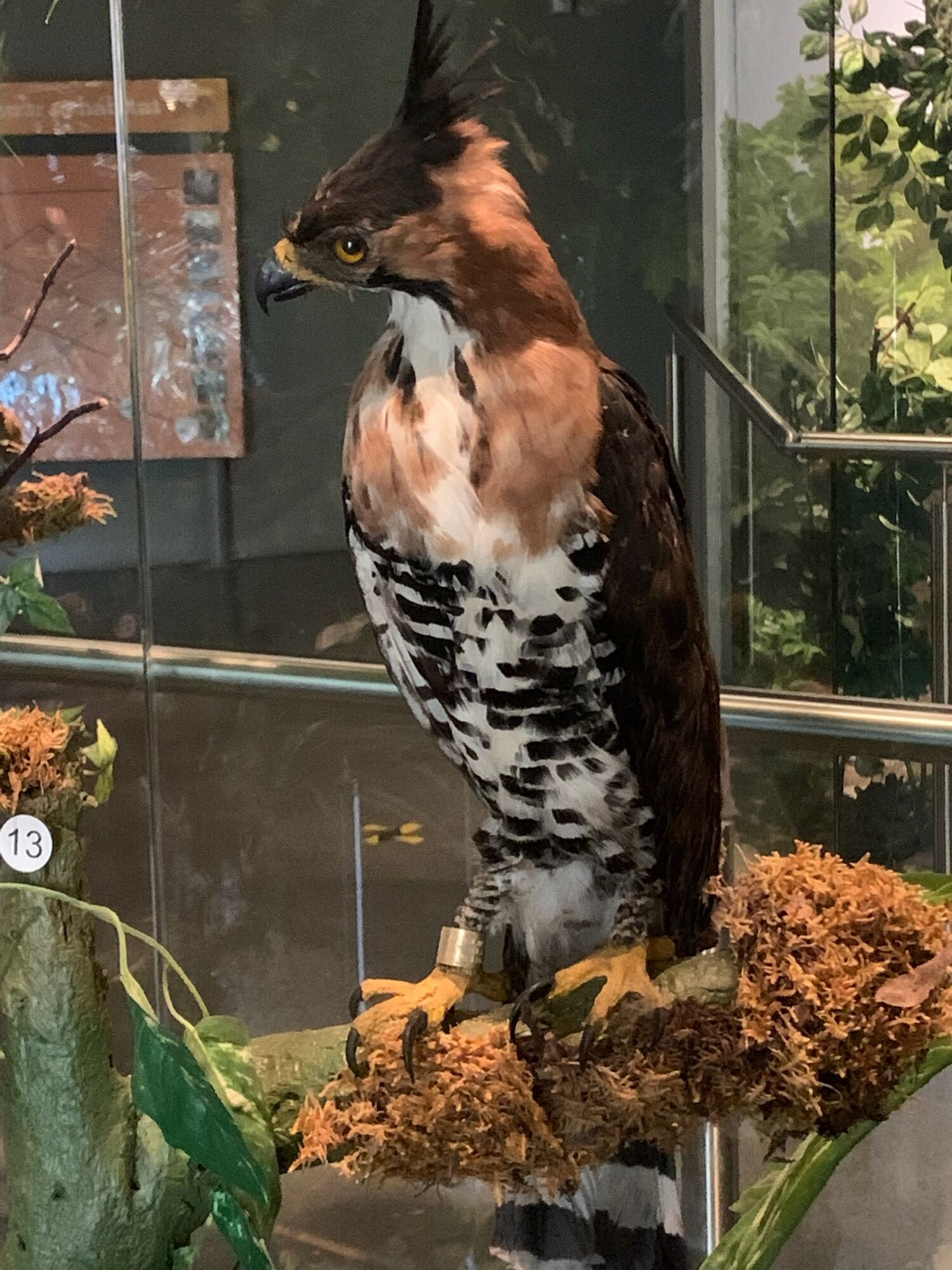 Museo de las Aves de México, Saltillo 2022, photo 8