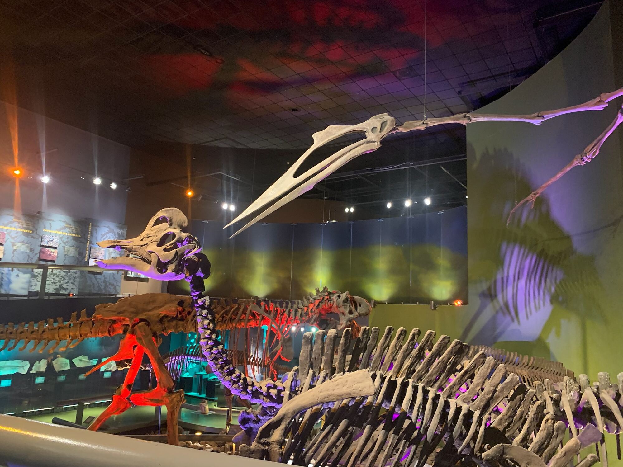 Museo del Desierto, Saltillo 2022, photo 4