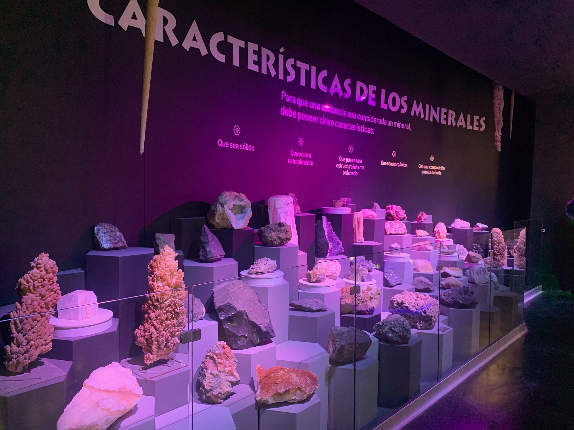 Museo del Desierto, Saltillo 2022, photo 6