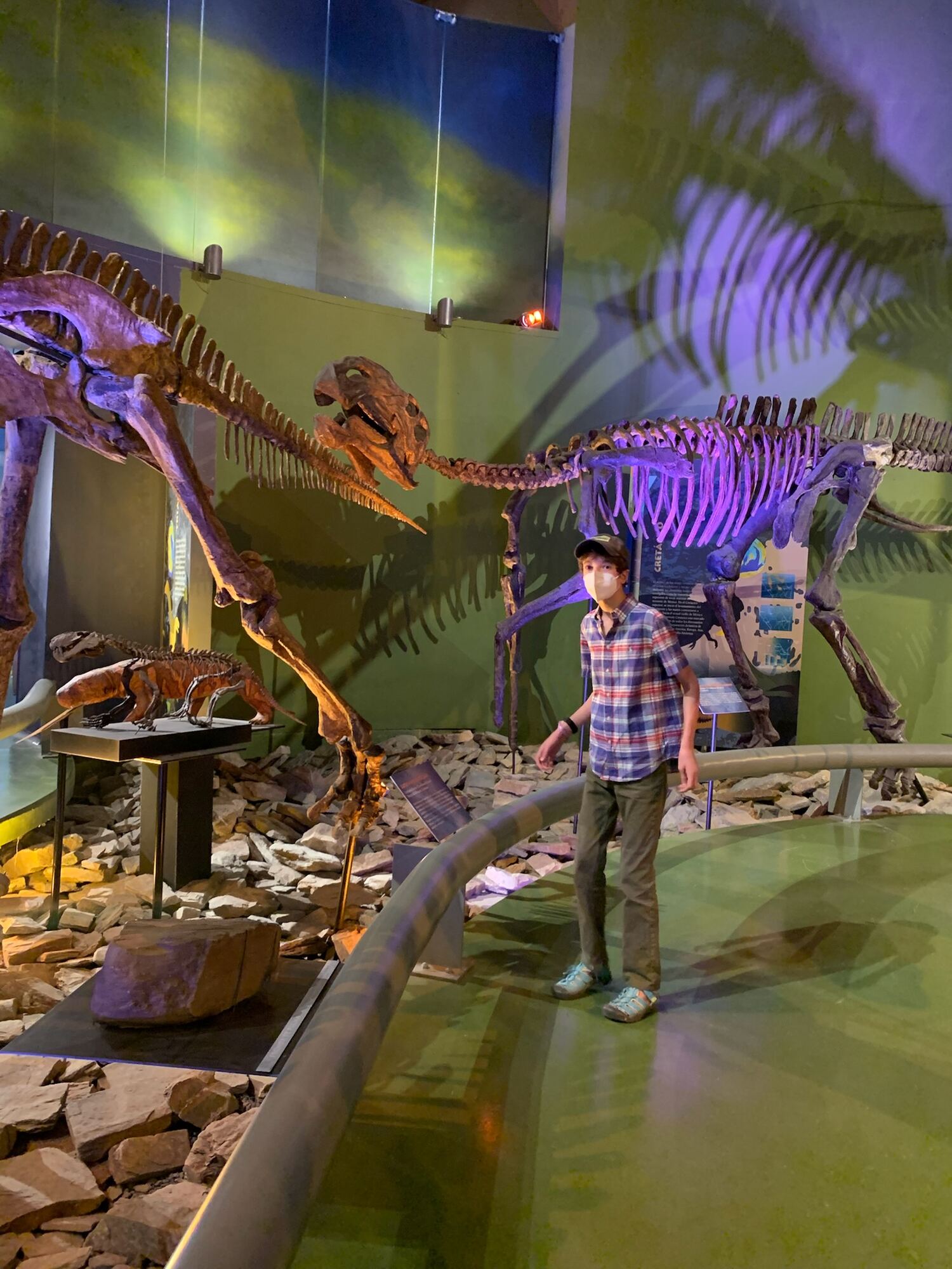 Museo del Desierto, Saltillo 2022, photo 11