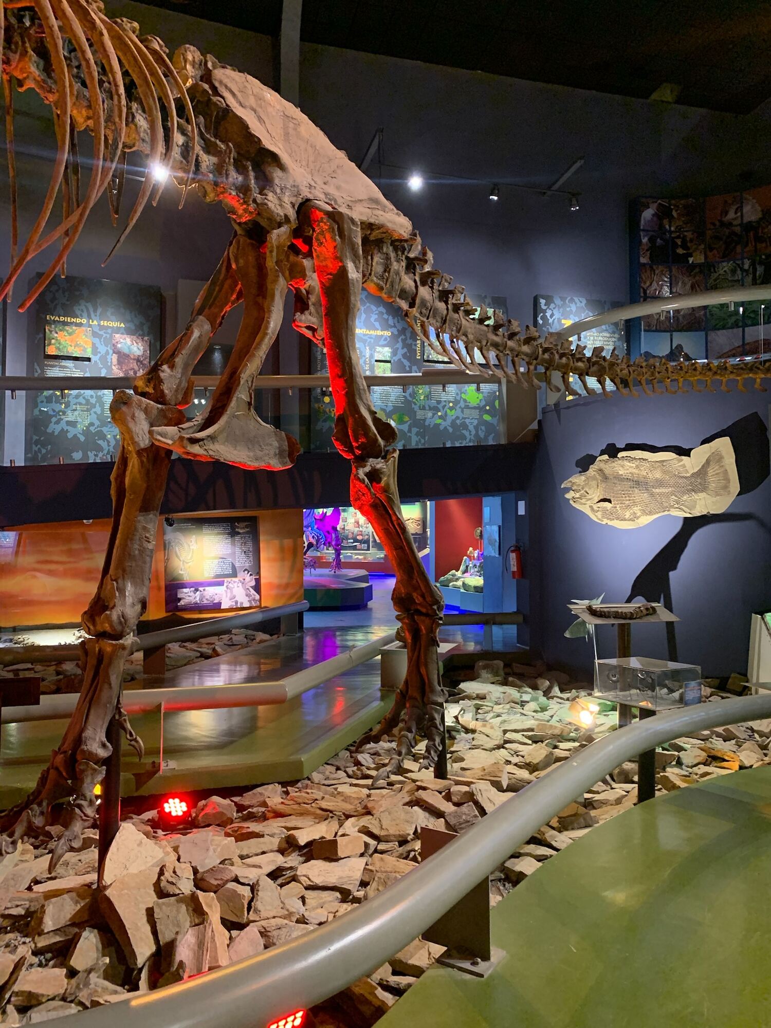 Museo del Desierto, Saltillo 2022, photo 13