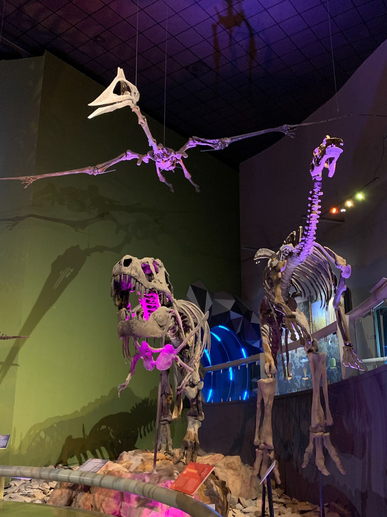 Museo del Desierto, Saltillo 2022, photo 16