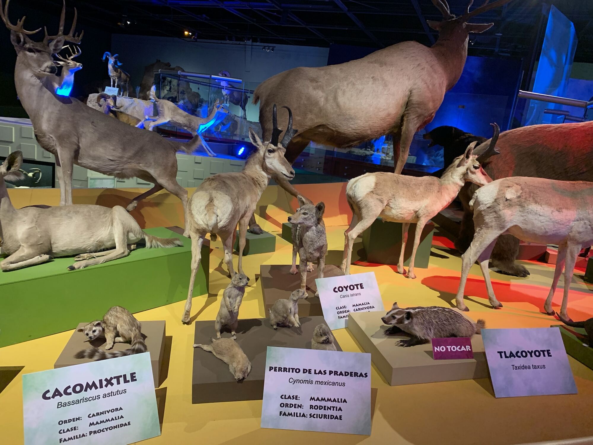 Museo del Desierto, Saltillo 2022, photo 19