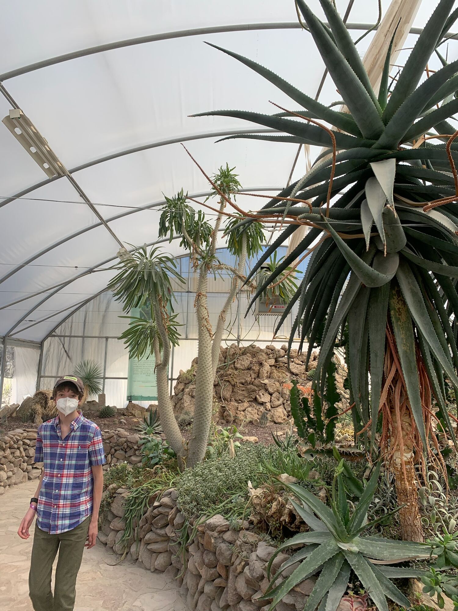 Museo del Desierto, Saltillo 2022, photo 22