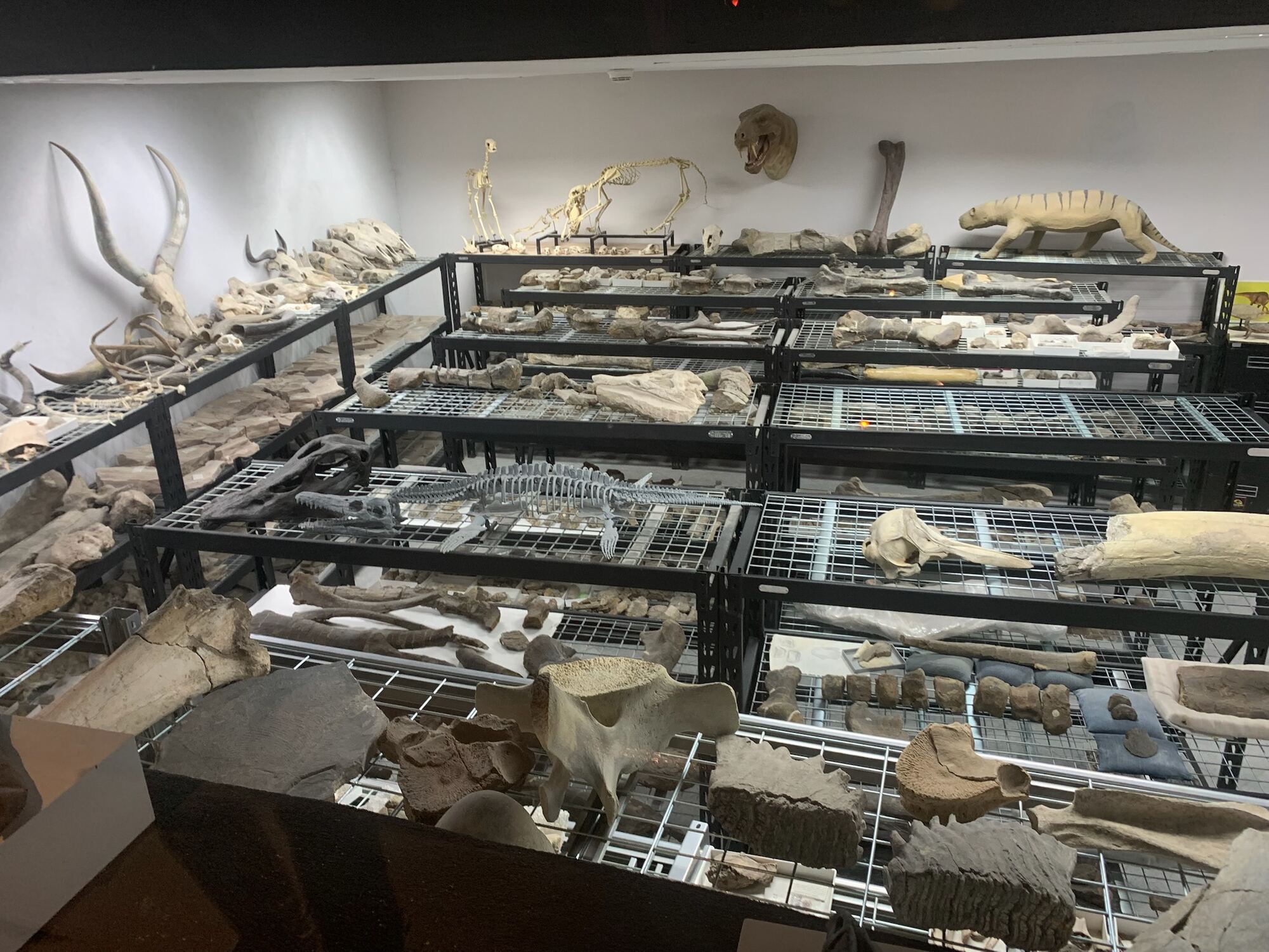 Museo del Desierto Workshop, 2022, photo 1