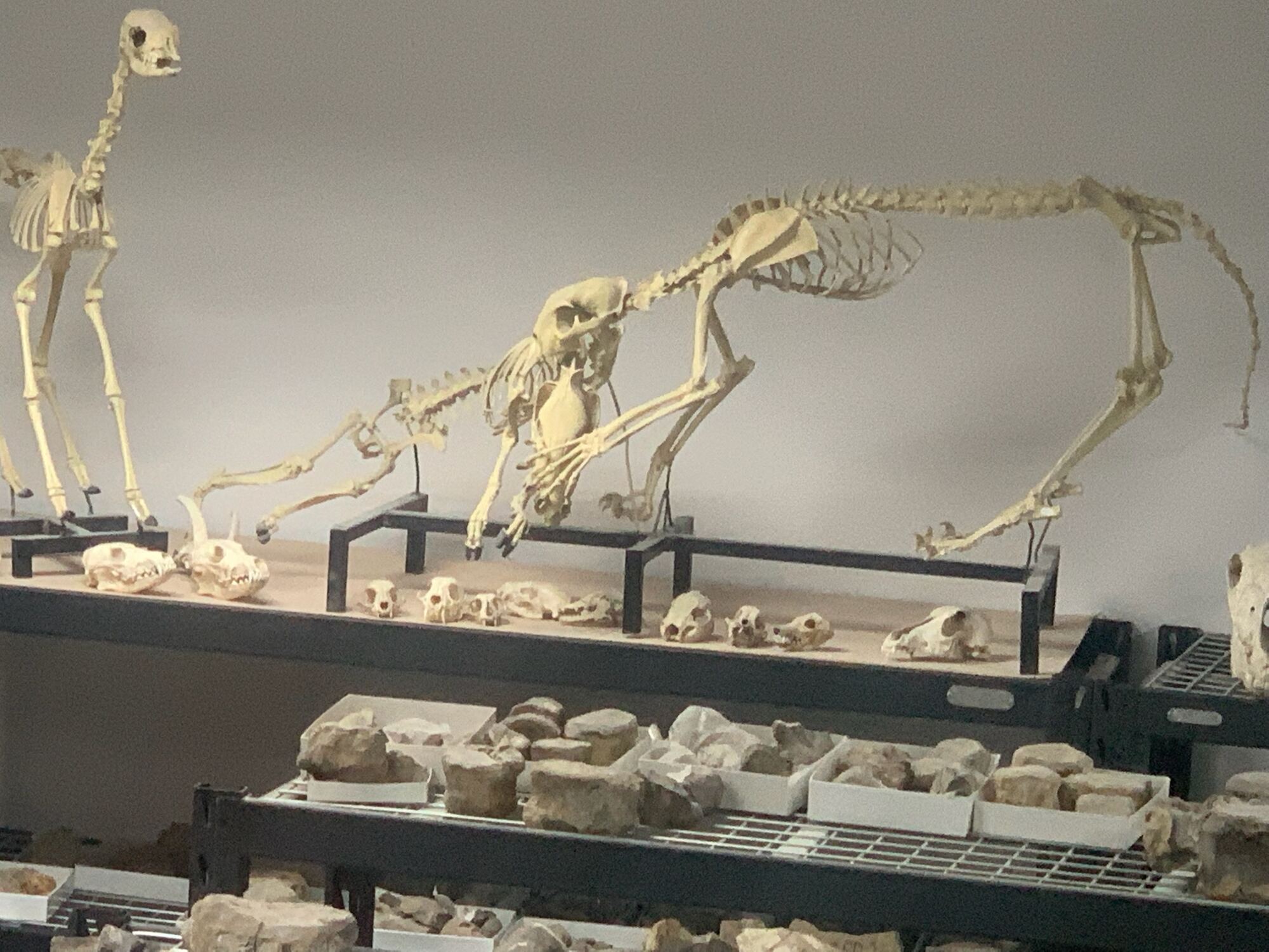 Museo del Desierto Workshop, 2022, photo 2