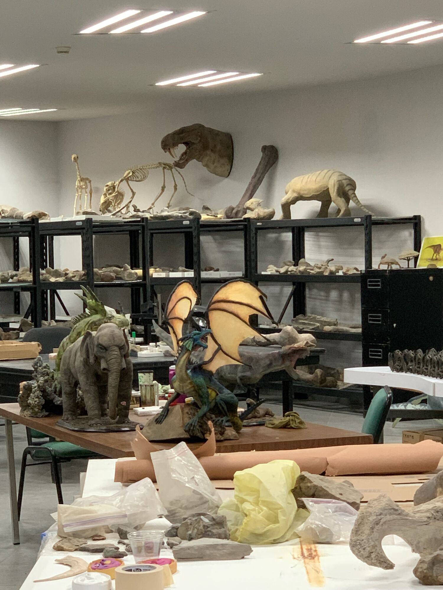 Museo del Desierto Workshop, 2022, photo 3